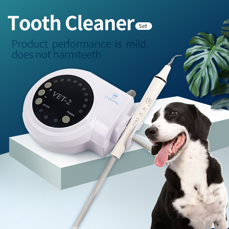 Teeth Whitening Tips - เครื่องขูดหินปูนอัลตราโซนิกสำหรับสัตว์เลี้ยง สำหรับสุนัข ใช้สำหรับขจัดคราบหินปูนในช่องปาก พร้อมหัวเปลี่ยน 5 แบบ