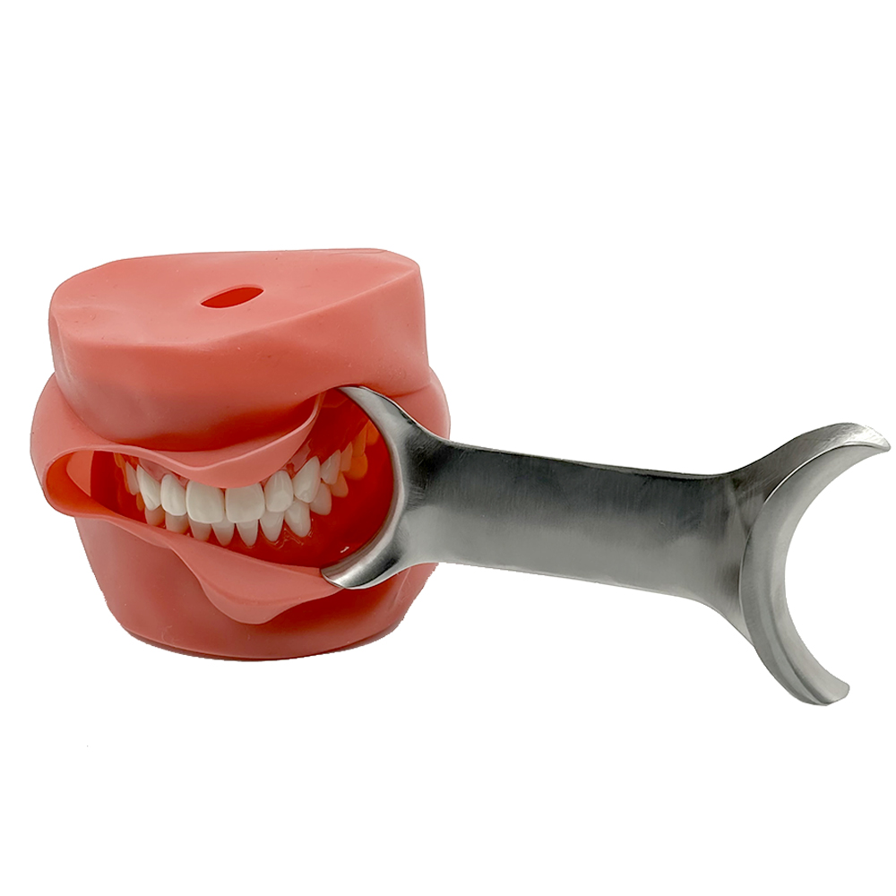 เครื่องมือทันตกรรมสแตนเลสแบบรี - Teeth Whitening For Photos บทวิจารณ์และราคา