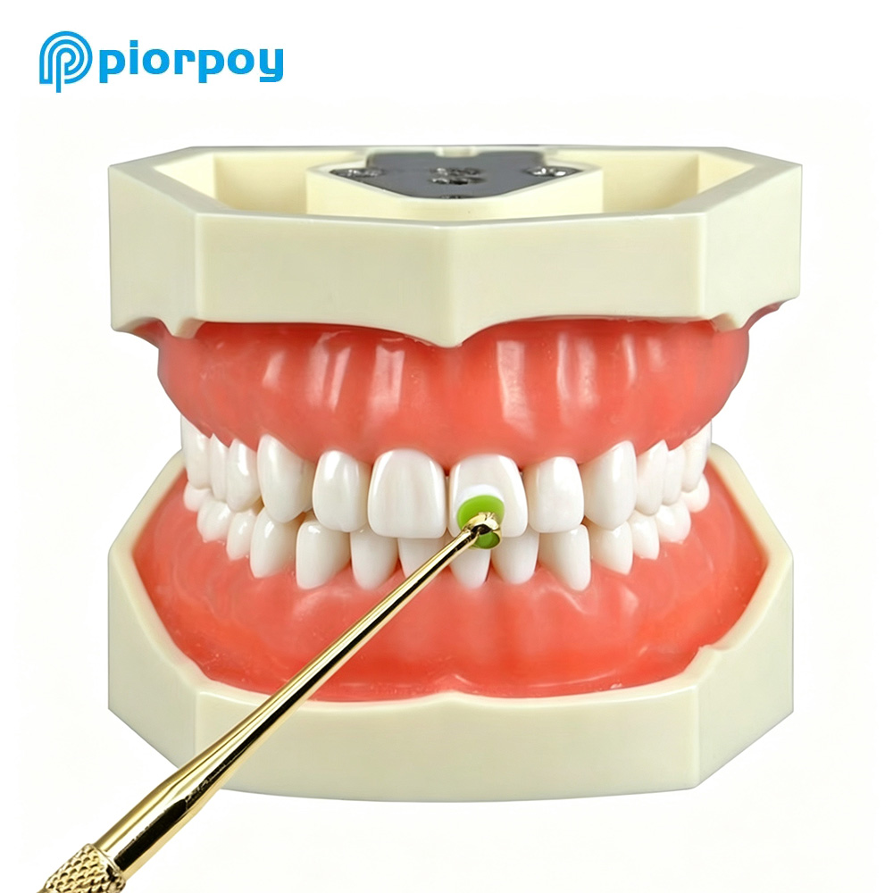 PIORPOY 1 ชิ้น อุปกรณ์ขึ้นรูปเ - Teeth Whitening Quick บทวิจารณ์และราคา